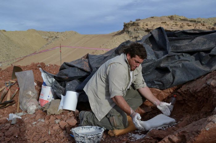 الأرجنتين.. اكتشاف حفرية لنوع ضخم من الزواحف الطائرة